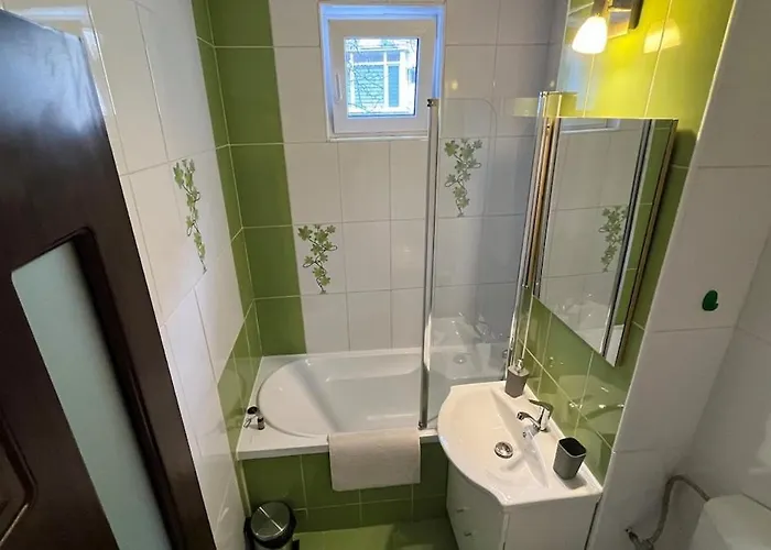 Apartment Hillside Near Center Brasov