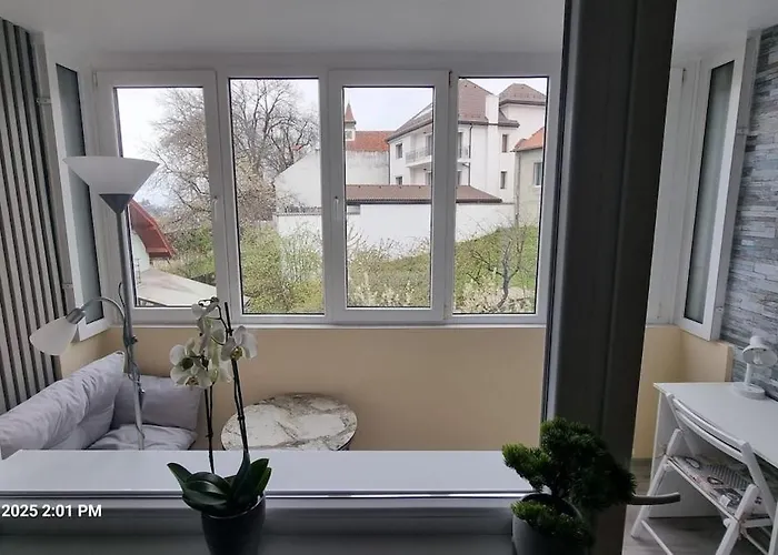 Apartment Hillside Near Center